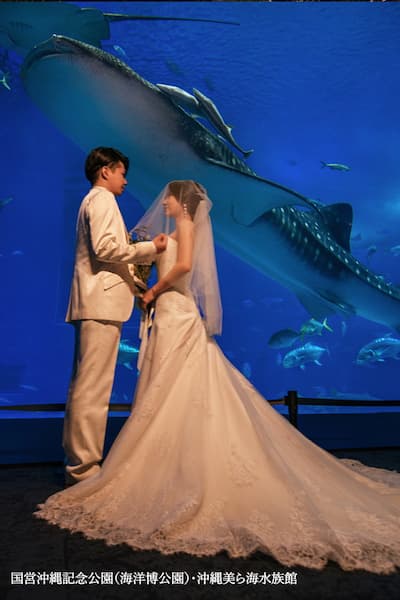 【1日1組限定】ジンベエザメと共演！誰も真似できない1枚を、美ら海水族館のナイトフォトウェディングで (4)
