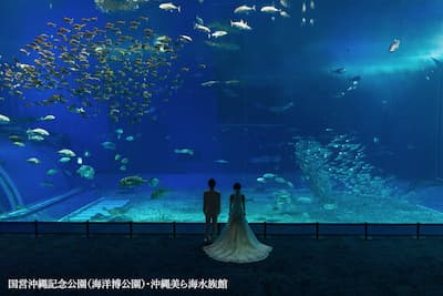 【1日1組限定】ジンベエザメと共演！誰も真似できない1枚を、美ら海水族館のナイトフォトウェディングで (2)