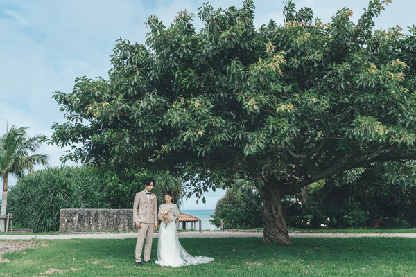 ＼今お問い合わせ増えています！／グリーンフォトが人気♪