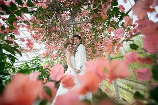 ユートピアファーム,宮古島,フォトウェディング,ロケーション,人気,おすすめ,,撮影,結婚式