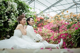 ユートピアファーム,宮古島,フォトウェディング,ロケーション,人気,おすすめ,,撮影,結婚式