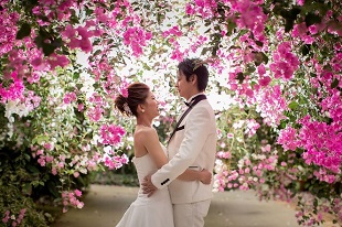 ユートピアファーム,宮古島,フォトウェディング,ロケーション,人気,おすすめ,,撮影,結婚式