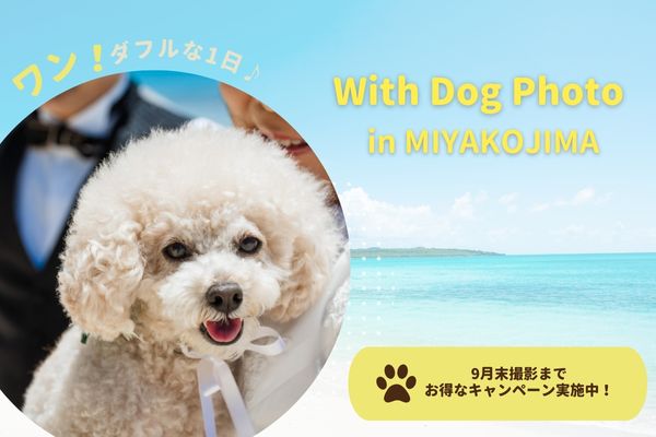 【宮古島】愛犬と叶える結婚写真＊With Dog フォト