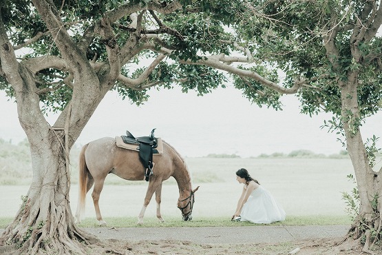沖縄馬と撮影