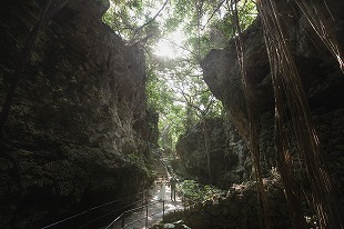 【ガンガラーの谷】沖縄フォトウェディングで人気のグリーンロケーション
