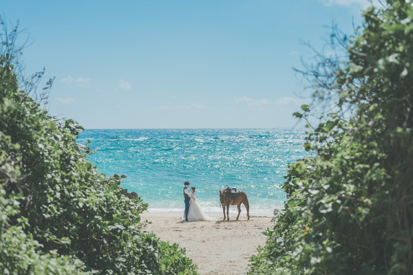 馬撮影＆ビーチ