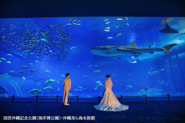 【2023年プラン】美ら海水族館　黒潮の海＆ビーチフォト（沖縄本島）