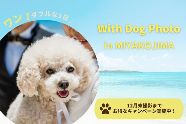 ≪宮古島≫愛犬と叶える結婚写真*With Dog フォト
