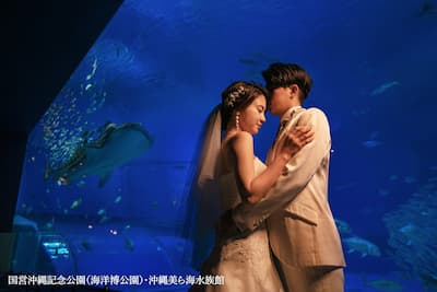 【1日1組限定】ジンベエザメと共演！誰も真似できない1枚を、美ら海水族館のナイトフォトウェディングで (5)